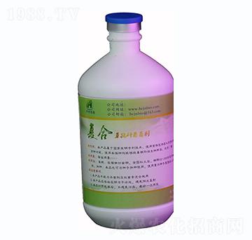 500ml復(fù)合芽孢桿菌菌劑液體-華創(chuàng)佳農(nóng)