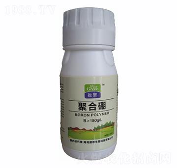 �ۺ���-�´�����