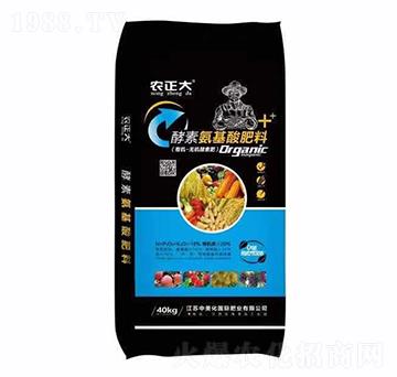 ���ذ��������-�r����-������