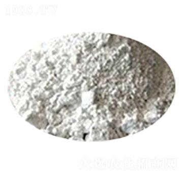 ���������|ĵϠ��-����