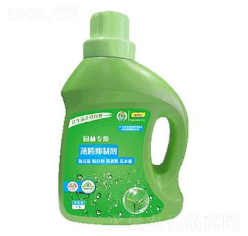 ���v���Ƅ�-��������