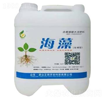 海藻-正陽農業(yè)