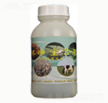 環(huán)凈寶3號-賜?？? width=