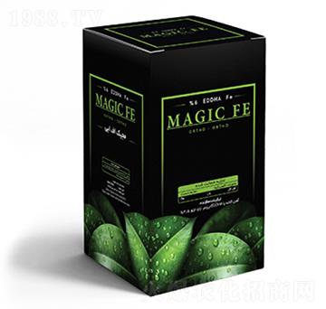 Magic FE Box-沃格瑞