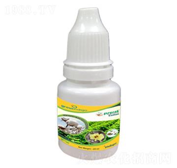 Prerak Cotton-沃格瑞