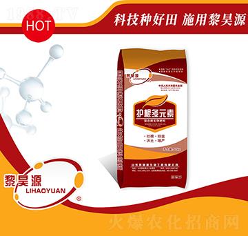 �ͺ�΢�������-�o����