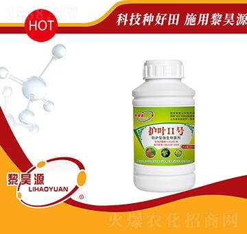 ���o��΢�������-�o�~2̖-���Դ