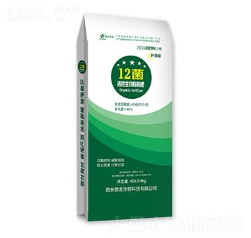 ���������ЙC��-12��-��������