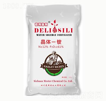 ����˹�����wһ�@-㑝�(r��n)����