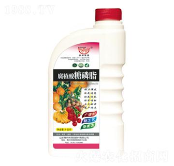 ��ֲ������֬-��(r��n)�����