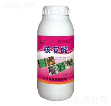 ƿ�b�������~���-��(r��n)��