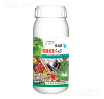 �S�~����A+B-��(r��n)���