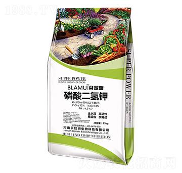 ��������-ؐ��ķ