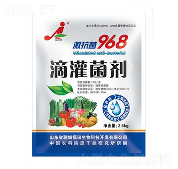 �ι����-��������