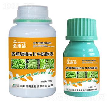 香蕉增粗拉長牛奶酵素-金禾能-嘉禾農(nóng)業(yè)