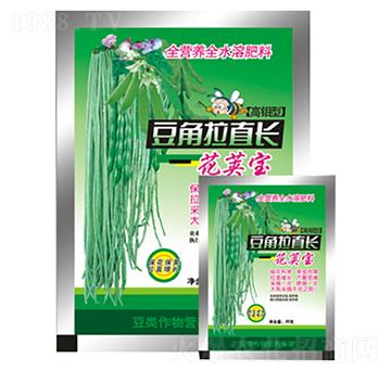 豆角拉直長(zhǎng)-花莢寶-農(nóng)夫