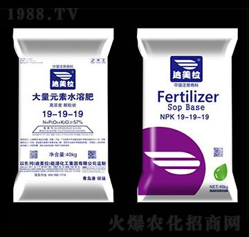 40kg大量元素水溶肥料19-19-19-迪美拉
