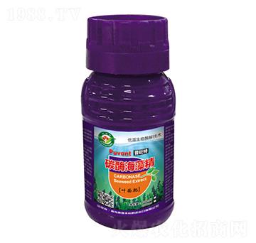 碳酶海藻精-普旺特-奧普豐