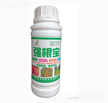 強(qiáng)根寶-建業(yè)