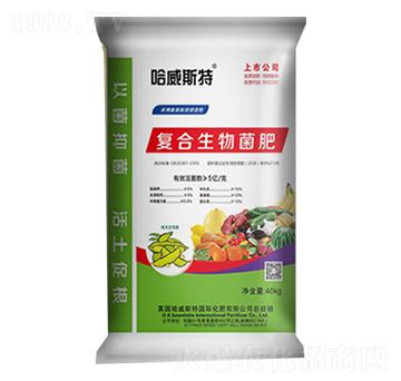 �ͺ�΢�������-����