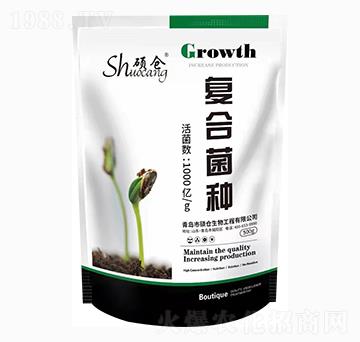 �ͺϾ��N-�T�}