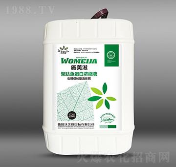 �������L�;����~���ם�sҺ-ʩ����-������