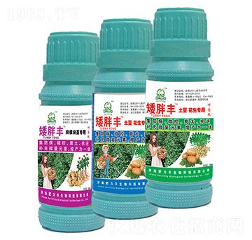 �����S�~���-������