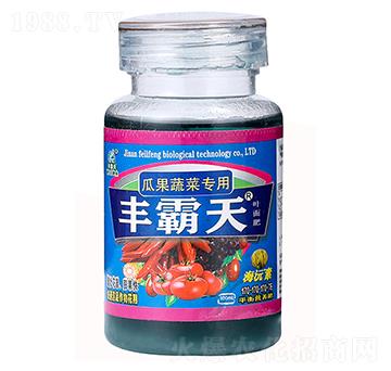 �Ϲ��߲ˌ����~���-�S����-�����S