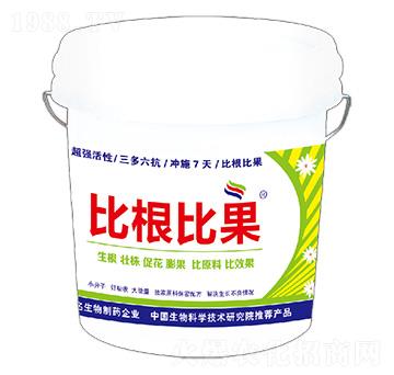 比根比果-新航天