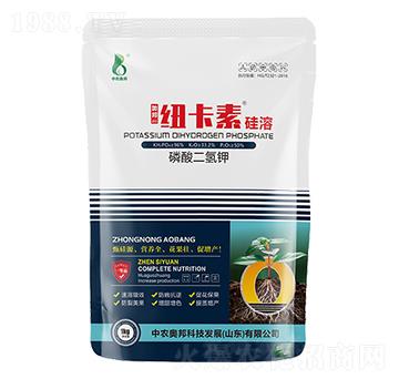 ������������-�~����-���r(n��ng)�W��