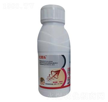 4.9%�׾Sʭ����-�t���^-�̎��r(n��ng)�I(y��)