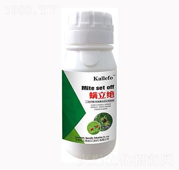 �����~�����S�����������Ƅ� �����^