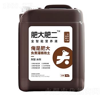 6kg全智能營養(yǎng)液-肥大肥二-鑫天蘭農業(yè)