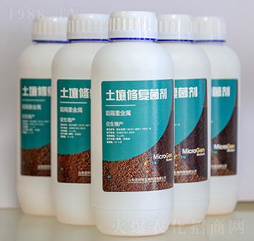 �ؽ����������ޏ�(f��)����-�~����