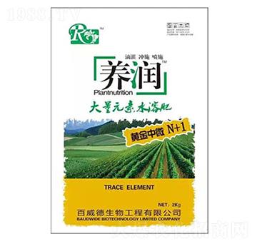 ����Ԫ��ˮ��-�B(y��ng)���S��