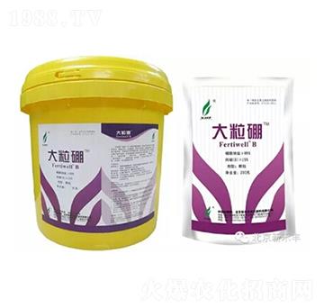 大粒硼-綠星農(nóng)業(yè)