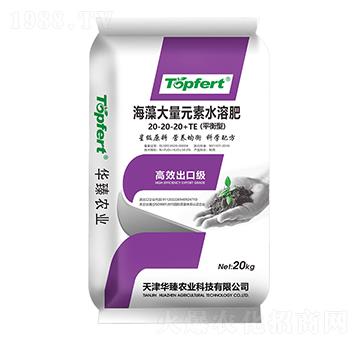 海藻大量元素水溶肥20-20-20+TE-華臻農業(yè)