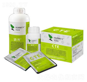 �Z��CTE-��(y��u)����