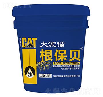 大淝貓根保貝-云惠農(nóng)