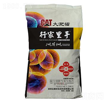 大淝貓行家里手-云惠農