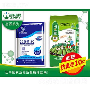 10�|΢�������-�︻