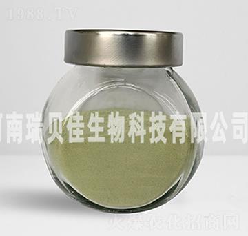 15.8%�����������}-��ؐ������