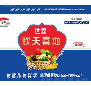 歡天喜地套裝-世喜