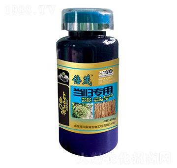 ��(d��ng)�w��(zhu��n)���~���-�A�����Z