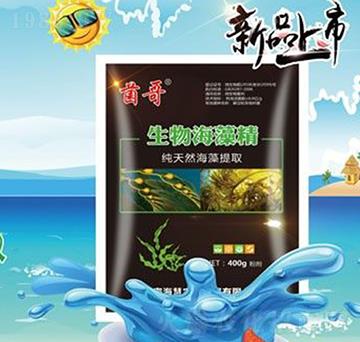 生物海藻精-?；? width=