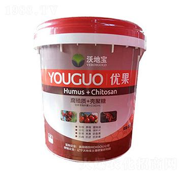 ��ֲ��+������-��(y��u)��-�ֵ،�