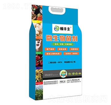 玉米、水稻、大田專用微生物菌劑-頓豐圭