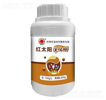 ���w��-�t̫�-�ư���