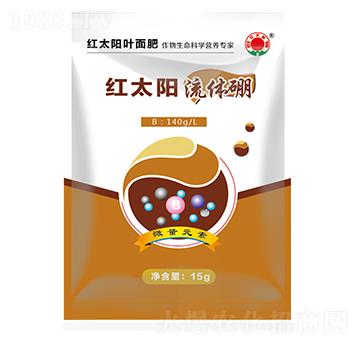 ���w�𣨴���-�t̫�-