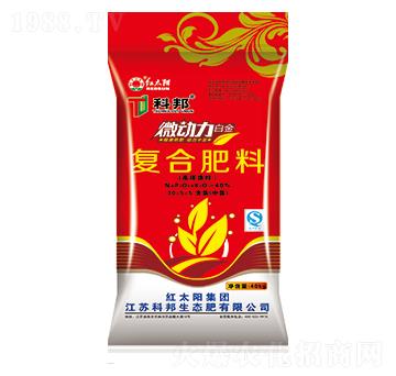 ΢����������(f��)�Ϸ���30